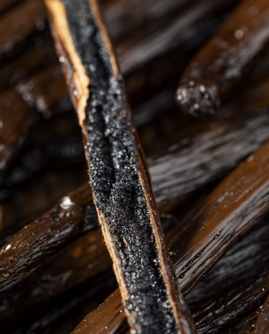 Capture d’écran 2024-04-03 à 17.52.53